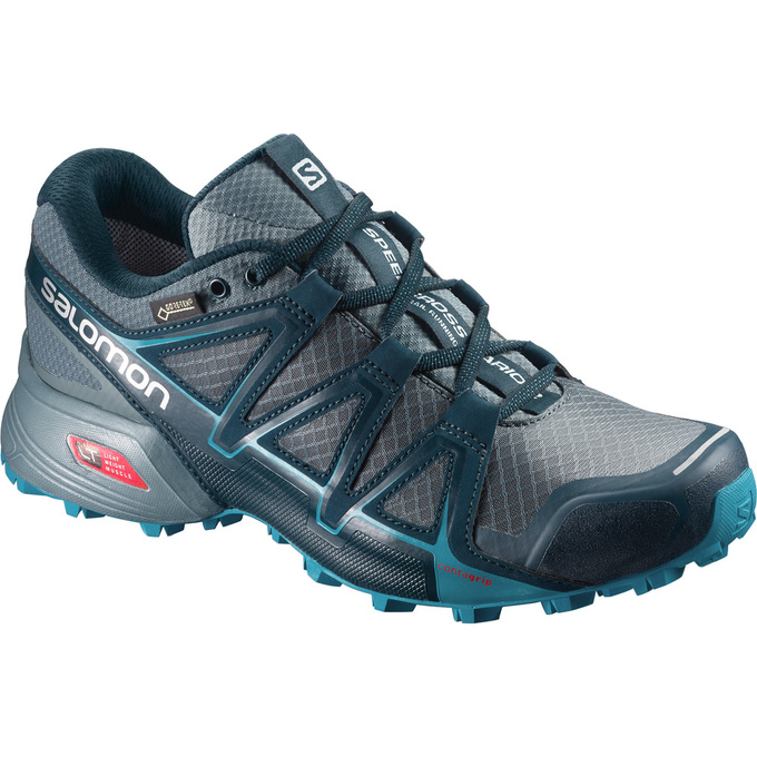 SALOMON SPEEDCROSS VARIO 2 GTX® W Philippines - Women's Trail Running Shoes - Silver | 937051-AOP